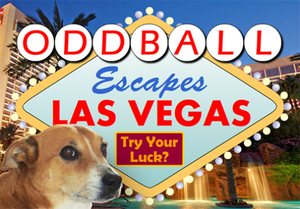 play Oddball Escapes Las Vegas