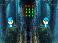 play 8B Owl Escape