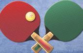 play Table Tennis World Tour