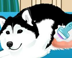 play Puppy Gives Birth