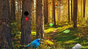 play Amazon Birds Forest Escape