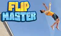 Flip Master