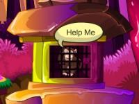 play Chimpanzee Escape