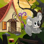 Cute Koala Rescue Escape