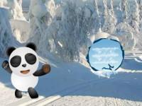 play Panda Snow World Escape