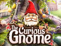 play The Curious Gnome