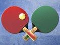 play Table Tennis World Tour