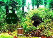 play Aqua Forest Escape