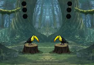 play Rooster Escape