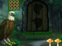 Eagle Fantasy Forest Escape