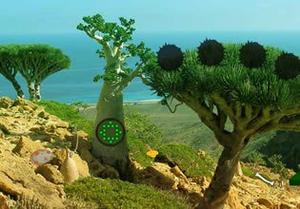 Dragon Tree Forest Escape