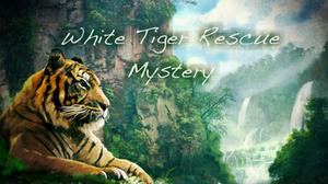 White Tiger Rescue Mystery