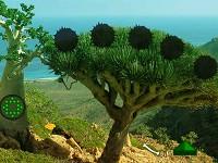 play Dragon Tree Forest Escape