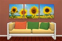 play Amajeto Sunflowers