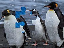 play Jigsaw Deluxe