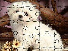 Jigsaw Puzzle Doggies