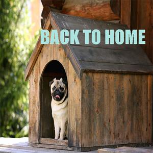 play Back To Home