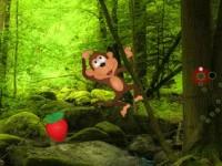 play Mad Monkey Forest Escape