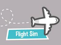 play Flight Sim