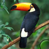 play Hidden-Numbers-38-Gazzyboy