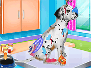 play Dalmatian Puppy Day Care