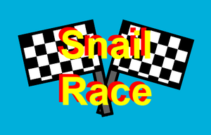 Snail Race