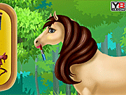 play Horse Caring And Spa