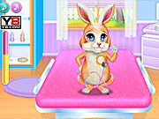 play Bunny Medical Care