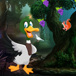 play Domestic Duck Escape