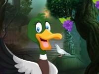 play Domestic Duck Escape