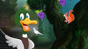 play Domestic Duck Escape