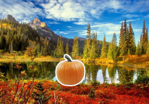 play Sneaky Search Pumpkins