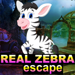 play Real Zebra Escape