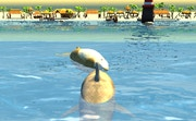 play Shark Simulator Beach Killer