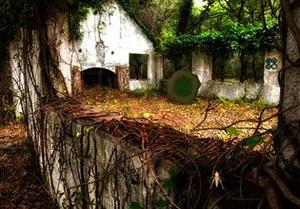 play Asylum Forest Escape