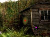 play Asylum Forest Escape