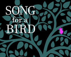 Song For A Bird