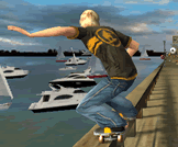 play Stunt Skateboard 3D
