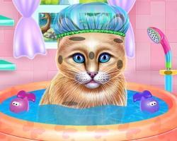 play Kitty Spa And Feeding