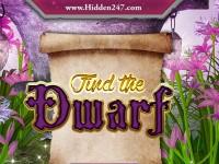 play Find The Dwarf
