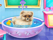 play Pomeranian Puppy Day Care