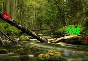 play Primeval Forest Escape