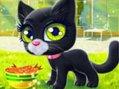 play Happy Cat