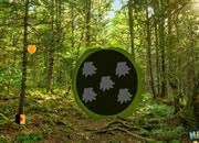 play Hidden Green Forest