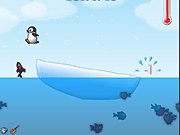 play Eat Fish Pengui