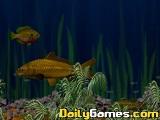 play Ia Fish