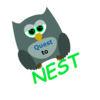 Quest To Nest Learn To Read
