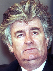 play Duckhunt De La Karadzic