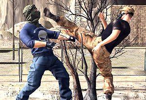 play Real Strike Tiger Fighting