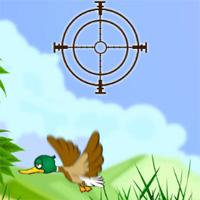 play Duck Shooter